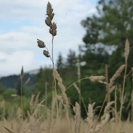 Farm stay Na Snozie Milowka