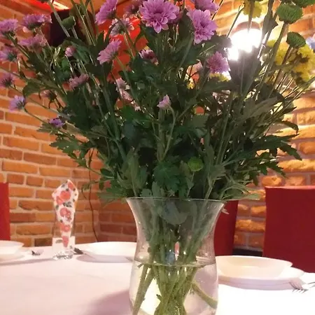 Na Snozie Bauernhof Milówka