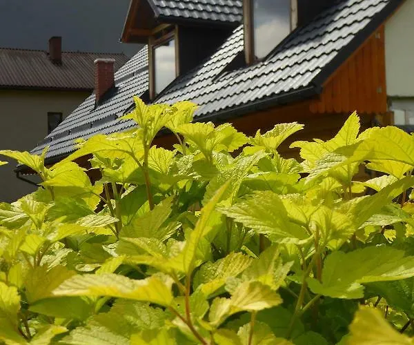 Na Snozie בית חווה