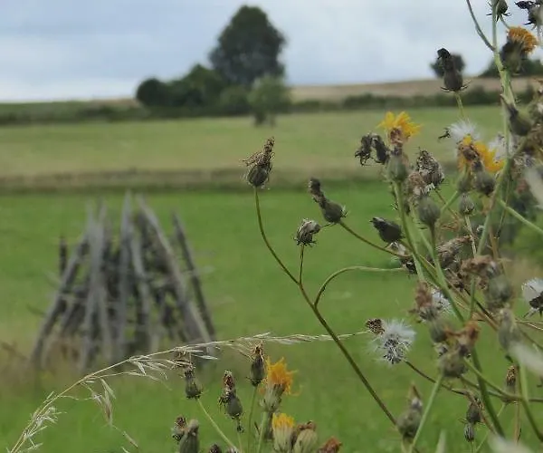 Na Snozie בית חווה