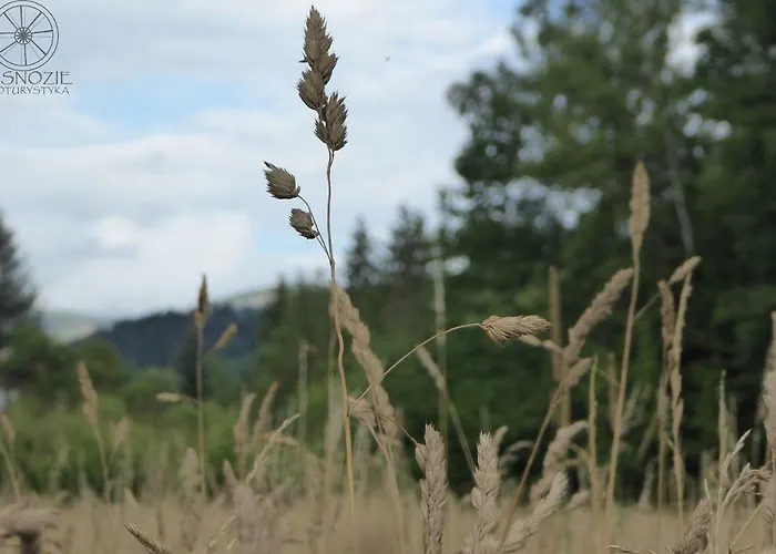 בית חווה Na Snozie מילובקה
